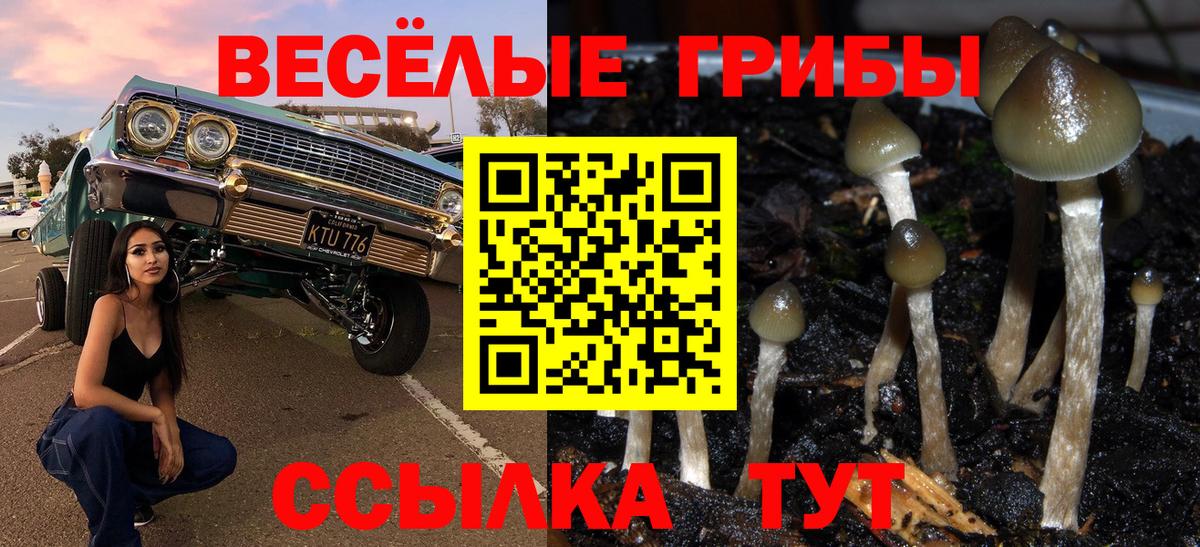 Псилоцибиновые грибы Psilocybine cubensis  Вход с VPN  Фрязино 